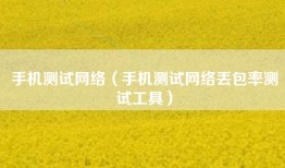 手机测试网络（手机测试网络丢包率测试工具）