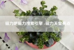 磁力吧磁力搜索引擎 -磁力天堂亮点