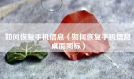 如何恢复手机信息（如何恢复手机信息桌面图标）