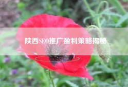 陕西SEO推广盈利策略揭秘