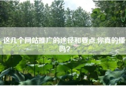这几个网站推广的途径和要点,你真的懂吗？