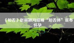 《知否》赵丽颖冯绍峰“知否体”宣布怀孕