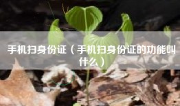 手机扫身份证（手机扫身份证的功能叫什么）