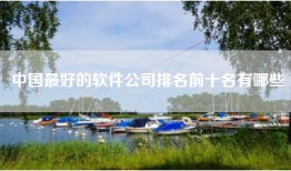 中国最好的软件公司排名前十名有哪些