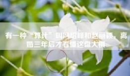 有一种“算计”叫冯绍峰和赵丽颖，离婚三年后才看懂这盘大棋
