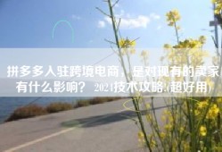 拼多多入驻跨境电商，是对现有的卖家有什么影响？ 2024技术攻略!(超好用)