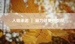 入组承诺 ｜ 磁力链使用教程