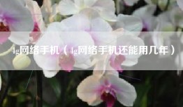 4g网络手机（4g网络手机还能用几年）
