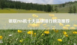 银联POS机十大品牌排行榜及推荐