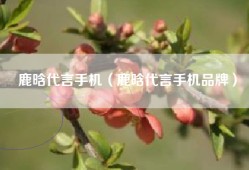 鹿晗代言手机（鹿晗代言手机品牌）