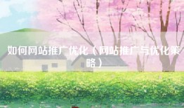 如何网站推广优化（网站推广与优化策略）