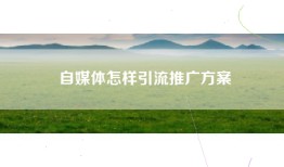自媒体怎样引流推广方案