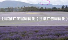 谷歌推广关键词优化（谷歌广告词优化）