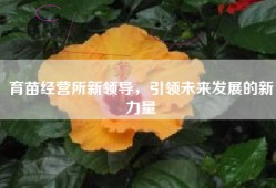 育苗经营所新领导，引领未来发展的新力量