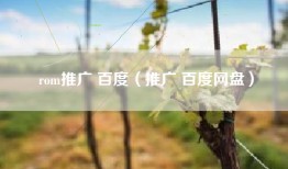 rom推广 百度（推广 百度网盘）
