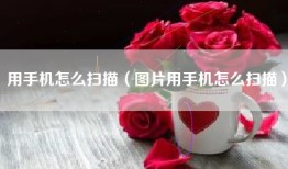 用手机怎么扫描（图片用手机怎么扫描）