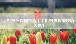 手机拍照构图技巧（手机拍照构图技巧人物）