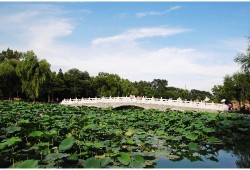 呼吸有爱·共筑肺康——株洲市人民医院“中医药文化健康夜市”第十九期来啦！