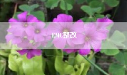 EMC整改
