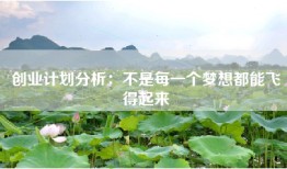 创业计划分析：不是每一个梦想都能飞得起来