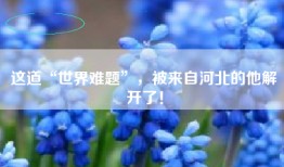 这道“世界难题”，被来自河北的他解开了！