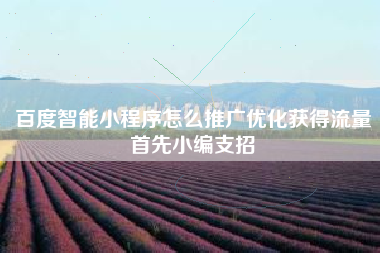 百度智能小程序怎么推广优化获得流量首先小编支招