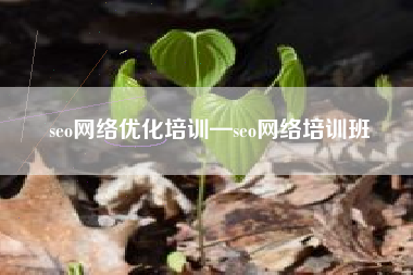 seo网络优化培训—seo网络培训班
