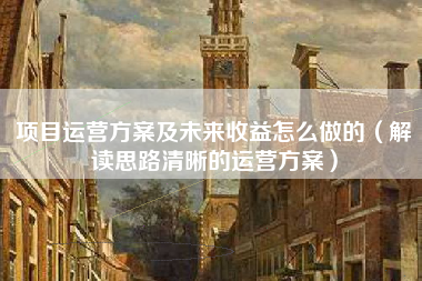 项目运营方案及未来收益怎么做的（解读思路清晰的运营方案）