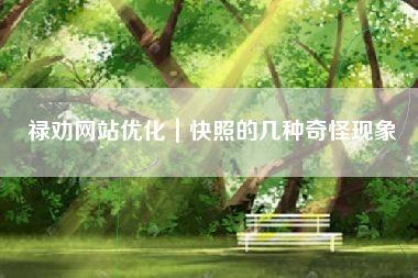 禄劝网站优化｜快照的几种奇怪现象