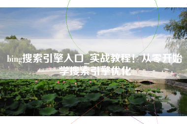 bing搜索引擎入口_实战教程！从零开始学搜索引擎优化