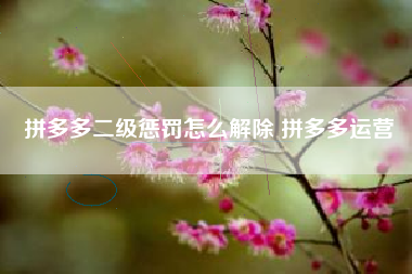 拼多多二级惩罚怎么解除 拼多多运营