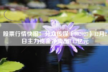 股票行情快报：分众传媒（002027）12月2日主力资金净卖出1.13亿元