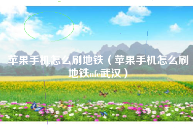 苹果手机怎么刷地铁（苹果手机怎么刷地铁nfc武汉）