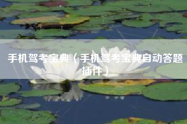 手机驾考宝典（手机驾考宝典自动答题插件）