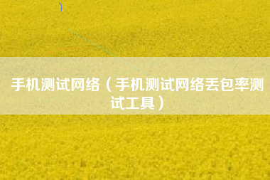 手机测试网络（手机测试网络丢包率测试工具）