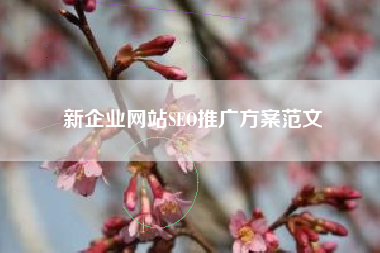 新企业网站SEO推广方案范文