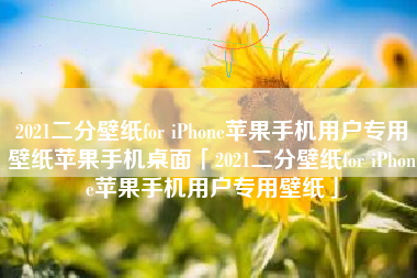 2021二分壁纸for iPhone苹果手机用户专用壁纸苹果手机桌面「2021二分壁纸for iPhone苹果手机用户专用壁纸」