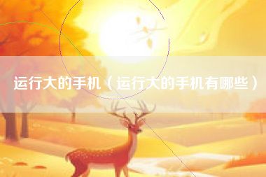 运行大的手机（运行大的手机有哪些）