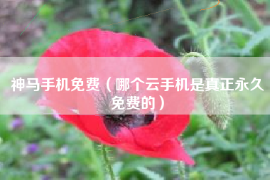 神马手机免费（哪个云手机是真正永久免费的）
