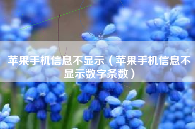 苹果手机信息不显示（苹果手机信息不显示数字条数）