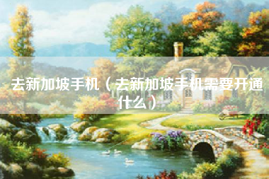 去新加坡手机（去新加坡手机需要开通什么）
