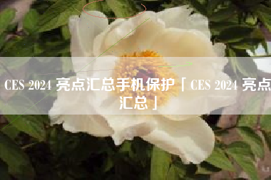 CES 2024 亮点汇总手机保护「CES 2024 亮点汇总」