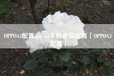 OPPOA3配置oppoa3手机参数配置「OPPOA3配置」