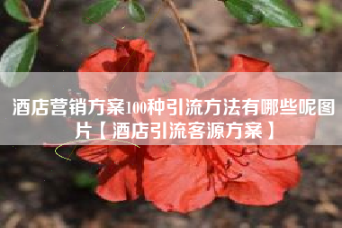 酒店营销方案100种引流方法有哪些呢图片【酒店引流客源方案】